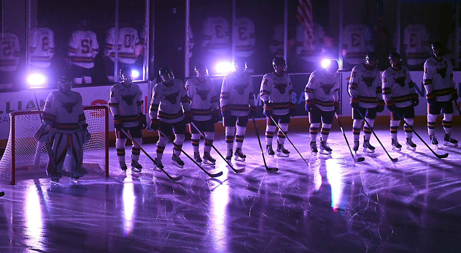MSU men's hockey fans 2